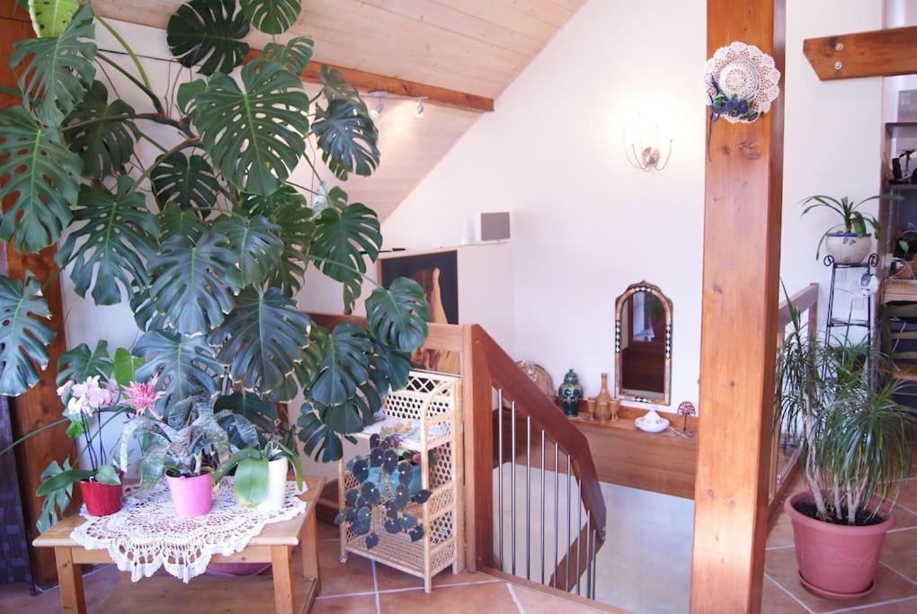 B&B Le Sourire Du Lac Sévrier Exteriör bild